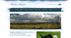 Desktop Screenshot of brigburn.com