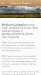 Mobile Screenshot of brigburn.com